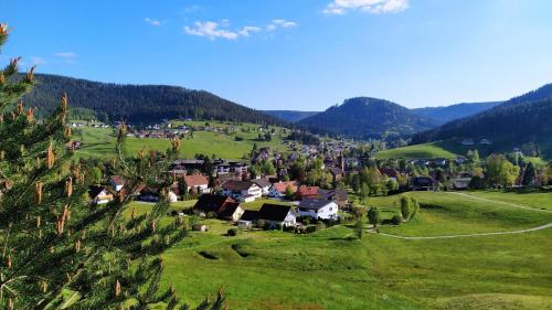 B&B Baiersbronn - Ferienwohnung, Sauna & Gästekarte gratis im Schwarzwald - Bed and Breakfast Baiersbronn