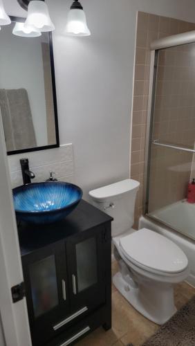 Entire one bedroom apartment in Annandale, USA