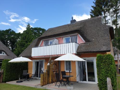 Buhne IV OG in Wieck, Deutschland