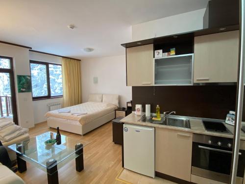 Charming Winter Studio, Borovets (foto 10)