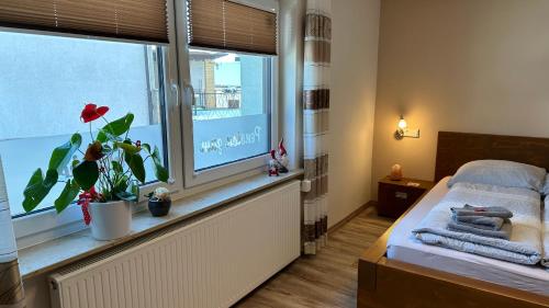 Pension zum Winterberg in 埃爾斯特爾韋爾達