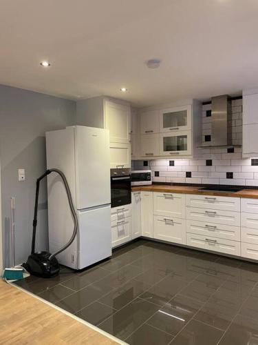 PLATINUM HOUSE OSLO - Centrally located with all facilities, Oslo (photo 8)