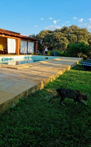 ทัศนียภาพภายนอกโรงแรม, Quinta do Chao D'Ordem in ลองรอยวา