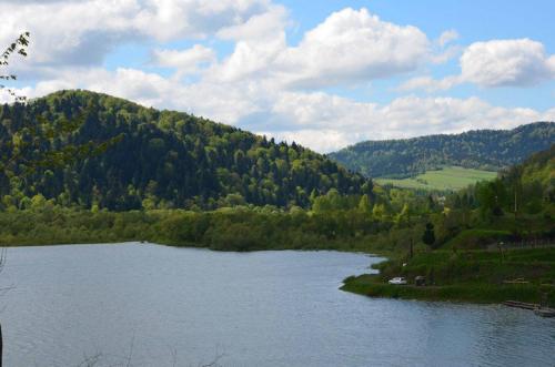 Domek Maja in Wolkowyja