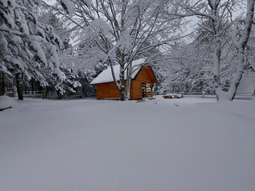 Cabin House Hidden Nest