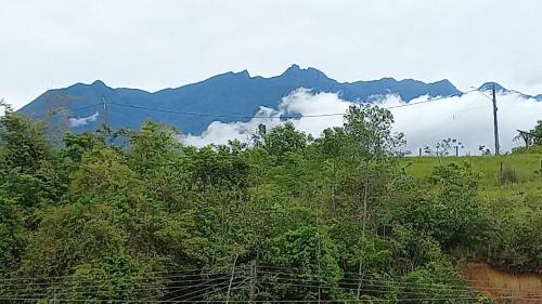 Espaço familiar com piscina em Penedo