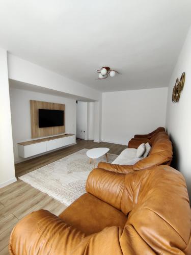 Ania's Apartment in Horezu