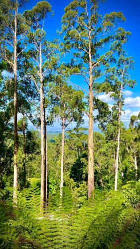 Melbourne Topview Villa in Dandenong ranges near Skyhigh