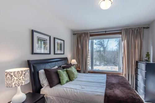 Condo on Golf near Bike Trail w/ 2 Bdrm 2 Bath, Мон-Трамблан (фото 9)