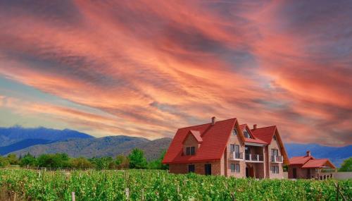 Εξωτερική όψη, Begaso Family Winery in Kvareli