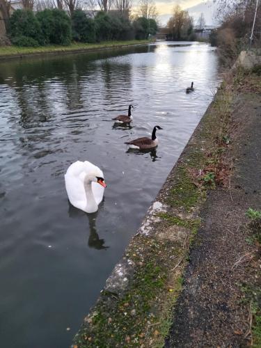 Fully Air-Conditioned Bedroom w 2 Double Beds & King Size Sofa Bed w Ensuite Bathroom Near Grand Union Canal - FREE Parking