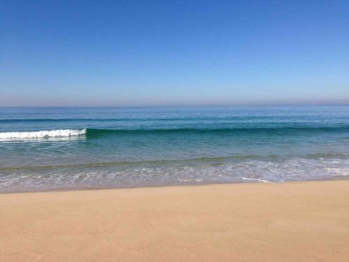 Monte “SERRA E MAR”