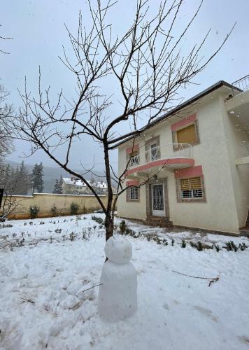 Villa ain soltan