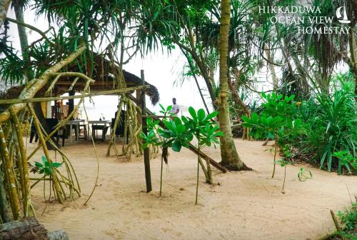 Hikkaduwa Ocean View Homestay in ฮิคคาดูวา