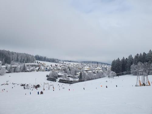 Ferienhaus Sonnengelb im Herzen des Schwarzwaldes