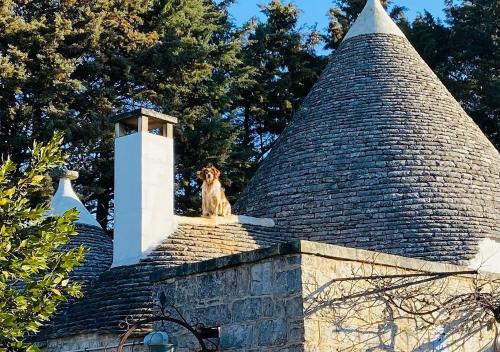  L'eremo in Alberobello