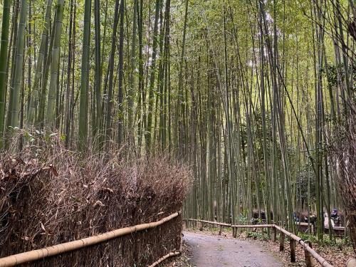 Yado Arashiyama