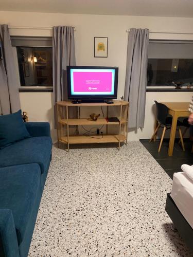 Sólheimar Studio Apartment - image 9
