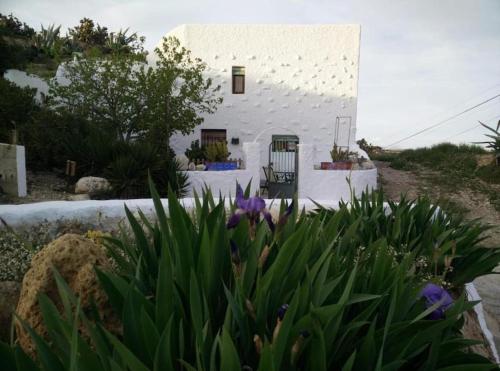 Cuevas Los Coloraos - La Residencia in Villanueva de las Torres