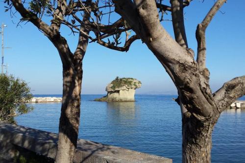 Giardino Mediterraneo