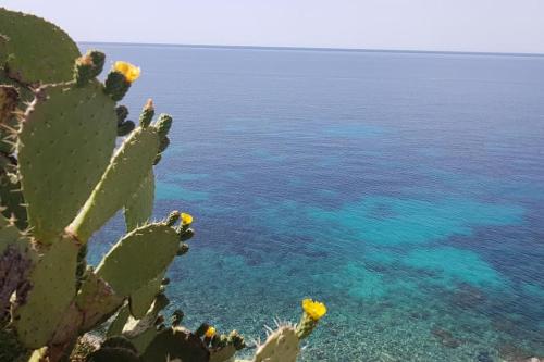 Giardino Mediterraneo