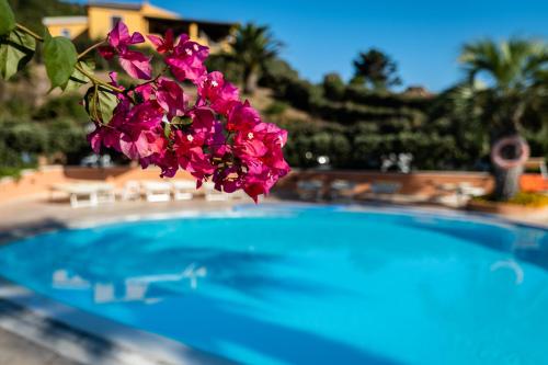 Hotel Corallaro - image 13