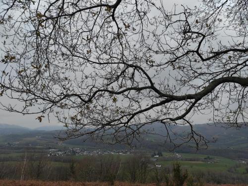 Gîte des 3 arbres