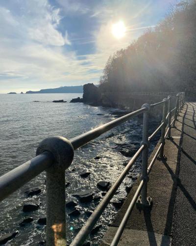 Adorable bedsit for you, partner and your pet! in Amroth