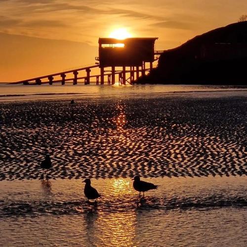 Adorable bedsit for you, partner and your pet! in Amroth