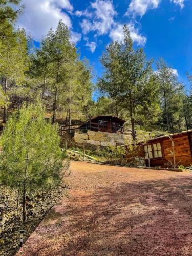 Bosco Paradiso in Treis Elies