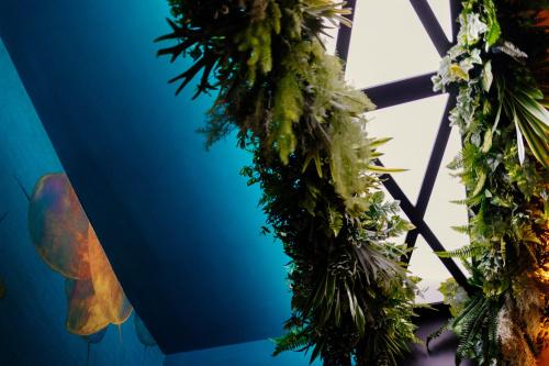 NapoliViva - image 11