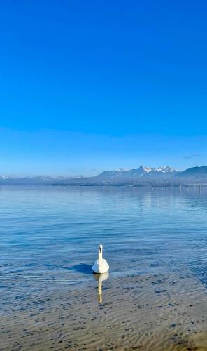 Appartement Le Léman