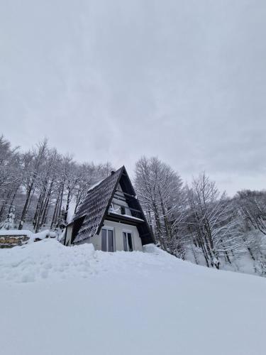 Weekend house NEST Bjelašnica