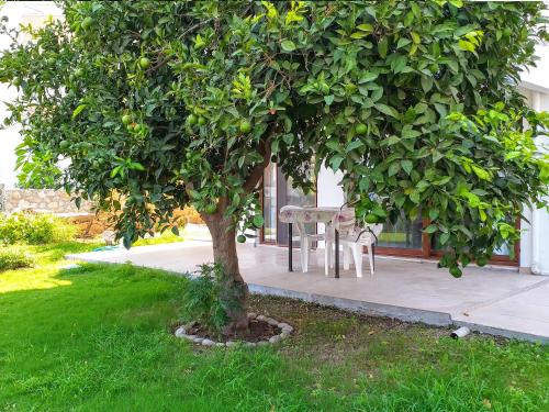 設施, 達特恰家庭旅館 (Ertem Apart) in 達特恰