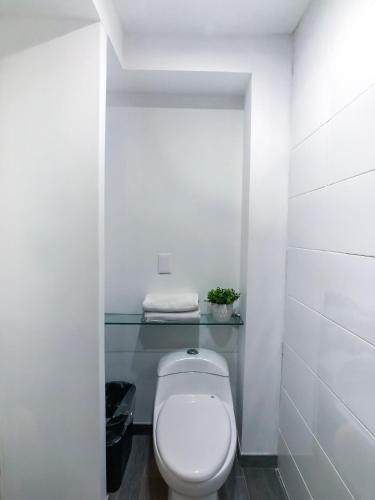 CASA NIAGARA CASA NIAGARA