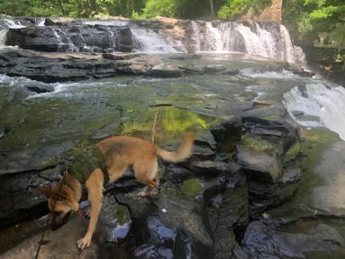 Wagon Wheel Cottage. Dog Friendly,Pipestem WVA