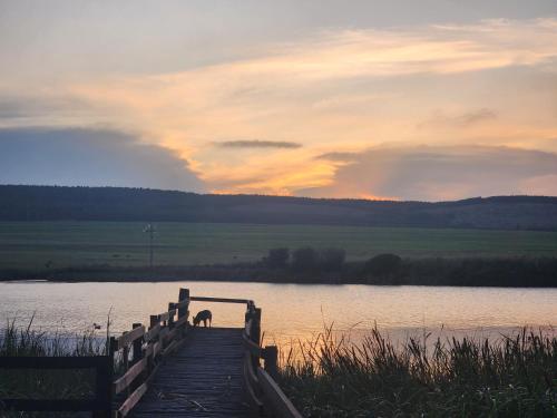 Vaade, Reedbuck Lodge in Amsterdam (Mpumalanga)
