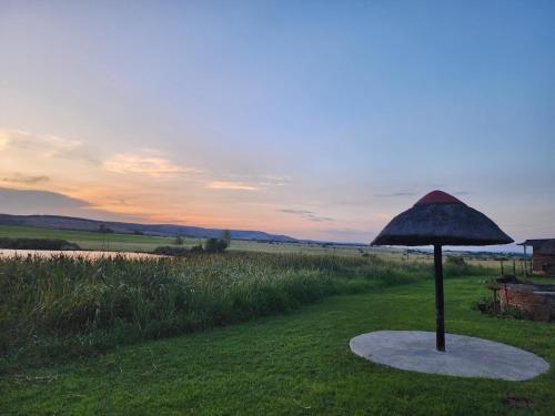 Vaade, Reedbuck Lodge in Amsterdam (Mpumalanga)