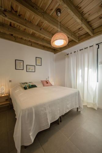 BORDLO - TERRE-SAINTE, Saint-Pierre (foto 6)