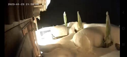  Chalet Die Berghexn in Klippitztorl