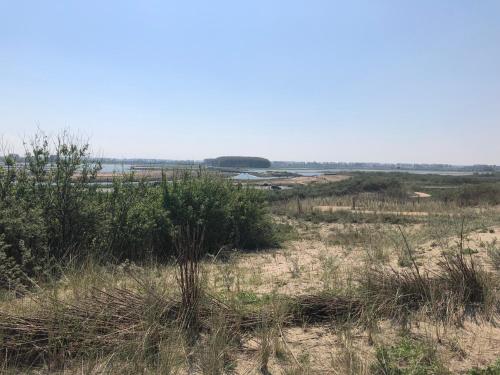 De Graanzolder - image 13