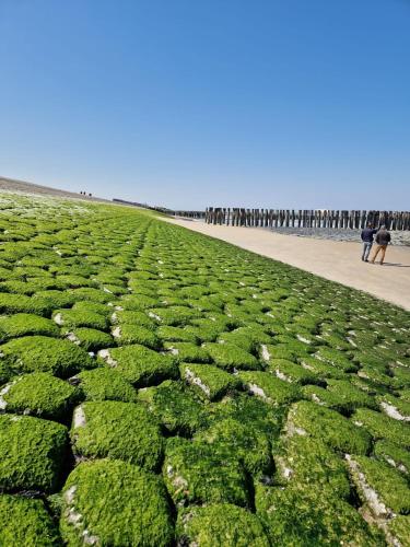 De Graanzolder - image 4