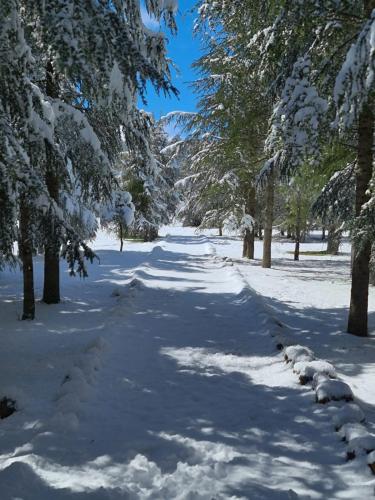 La pommeraie d'Ifrane