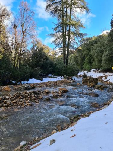 La pommeraie d'Ifrane