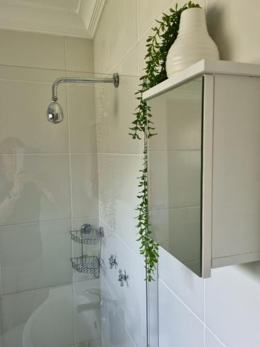 Gorgeous Gecko Guesthouse Room Type - Family Room