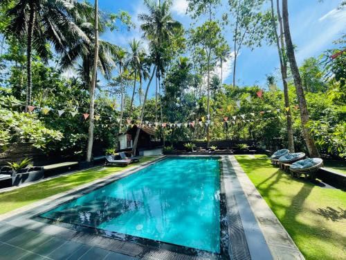 Dots Bay House