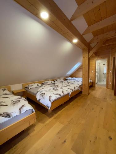 Apartma LD Puščava (Apartma LD Puscava) in 波霍列山區洛夫倫茨