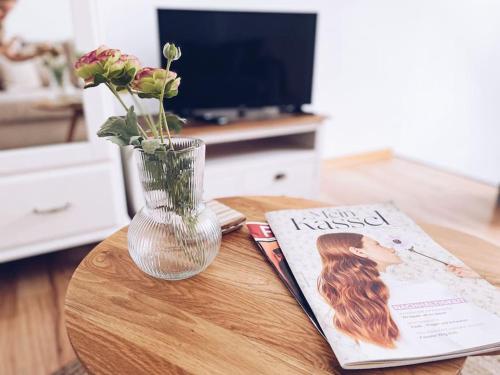 The Cozy Flat close to the University