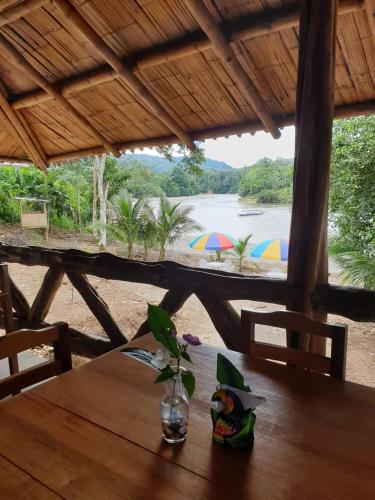 Playa Tortuga in Puerto Misahualli