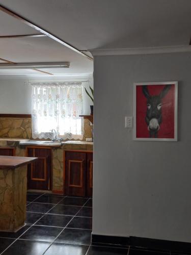 Urban Farm Haus Guesthouse in Rundu